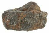 Abai Iron Meteorite ( g) - Kazakhstan #265991-1